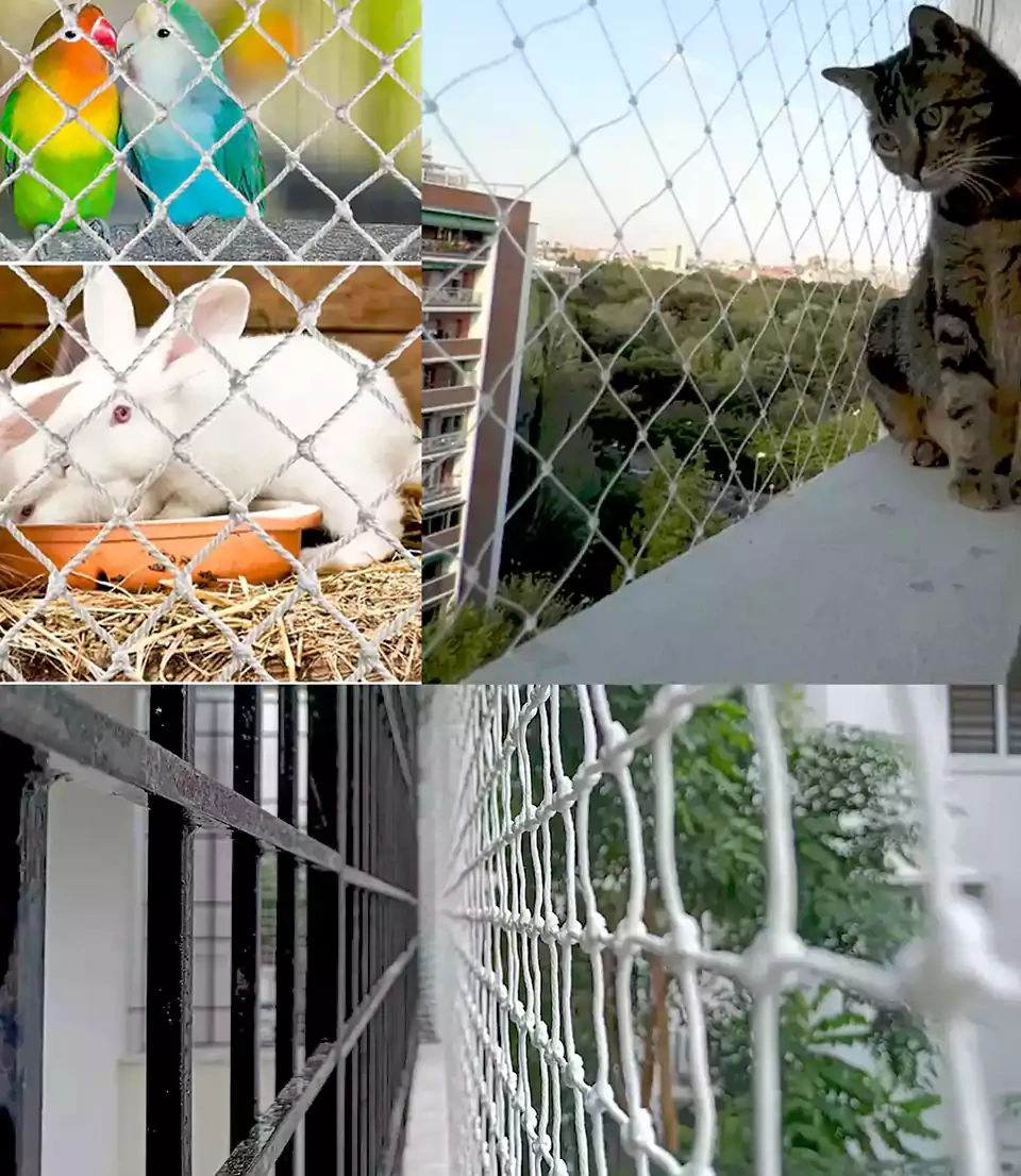 Pet Safety Nets Installation Odisha