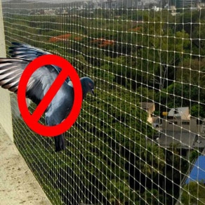 Pigeon Nets Installation